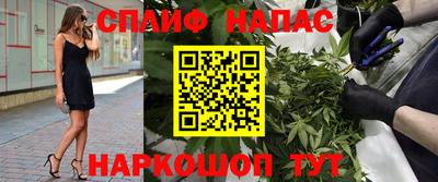 гашик Краснознаменск