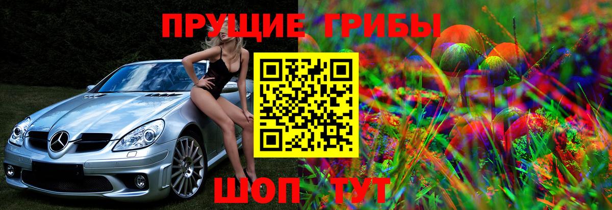 Галлюциногенные грибы Cubensis Королёв